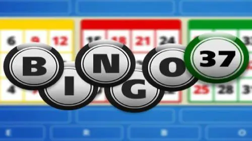 Bingo 37 - WinPesa - Nigeria