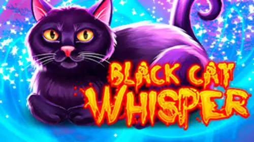 Black Cat Whisper - WinPesa - Nigeria