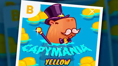 Capymania Yellow - WinPesa - Nigeria