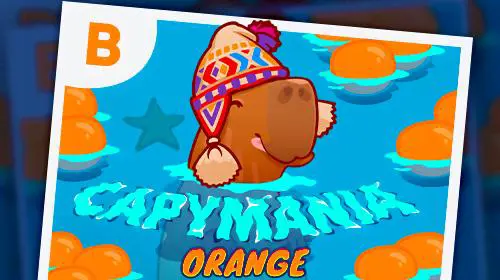 Capymania Orange - WinPesa - Nigeria