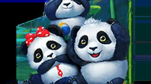 Panda - WinPesa - Nigeria