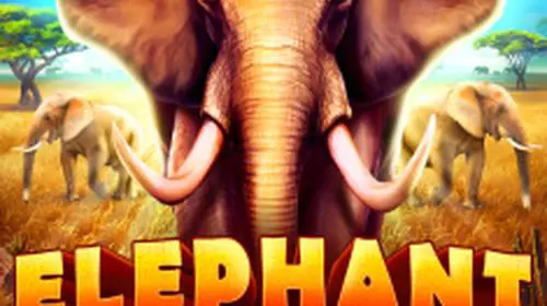 Elephant Stampede - WinPesa - Nigeria