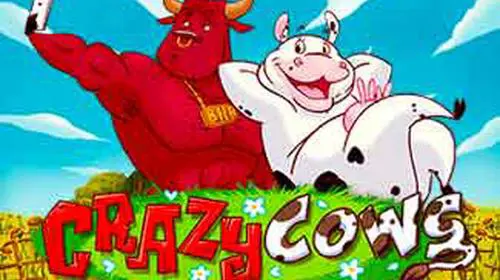 Crazy Cows - WinPesa - Nigeria