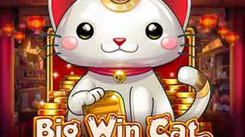 Big Win Cat - WinPesa - Nigeria