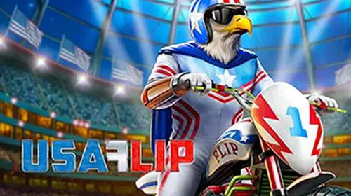USA Flip - WinPesa - Nigeria