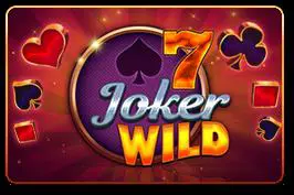 Poker 7 Joker Wild - WinPesa - Nigeria