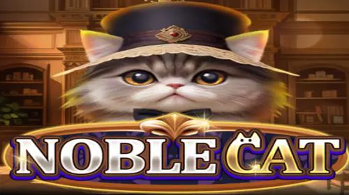 Noble Cat - WinPesa - Nigeria