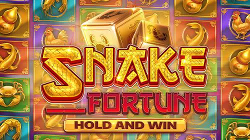 Snake Fortune Hold and Win - WinPesa - Nigeria