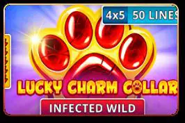 Lucky Charm Collar - WinPesa - Nigeria