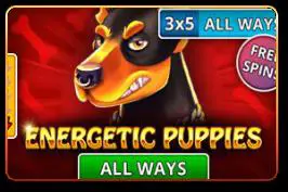 Energetic Puppies - WinPesa - Nigeria