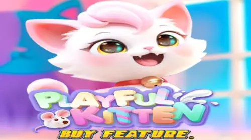 Playful Kitten Buy Feature - WinPesa - Nigeria