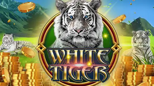 White Tiger - WinPesa - Nigeria