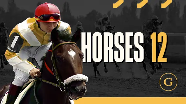 Horses 12 Sprint Scheduled - WinPesa - Nigeria