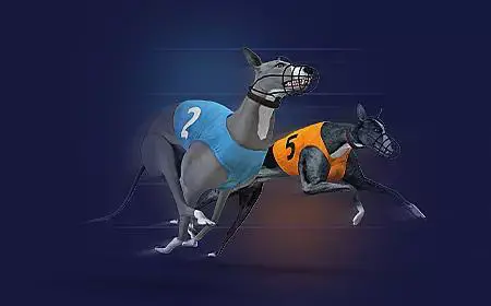 Virtual Greyhound Races - WinPesa - Nigeria