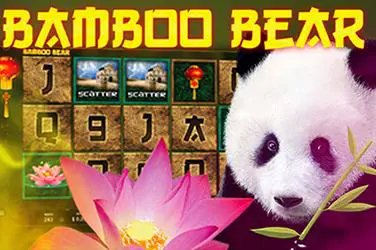 Bamboo Bear - WinPesa - Nigeria