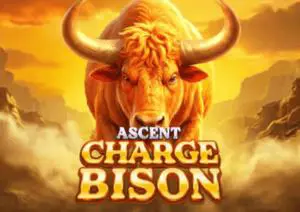 Charge Bison Ascent - WinPesa - Nigeria