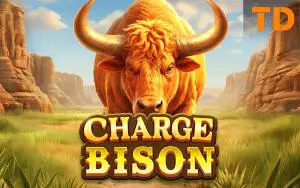 Charge Bison - WinPesa - Nigeria