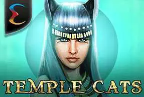 Temple Cats - WinPesa - Nigeria