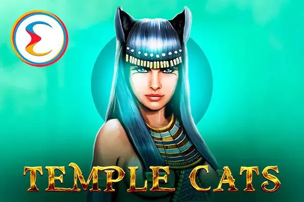 Temple Cats - WinPesa - Nigeria