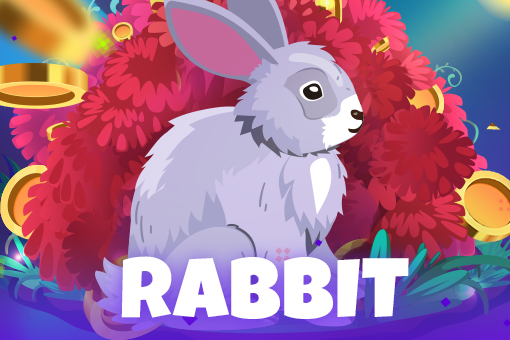 Rabbit - WinPesa - Nigeria