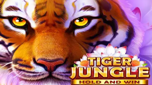 Tiger Jungle - WinPesa - Nigeria