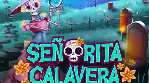 Bingo Señorita Calavera - WinPesa - Nigeria