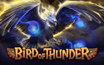Bird of Thunder - WinPesa - Nigeria