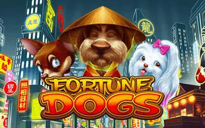 Fortune Dogs - WinPesa - Nigeria