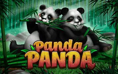Panda Panda - WinPesa - Nigeria