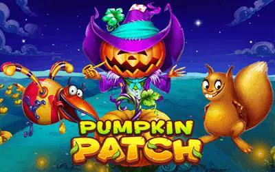 Pumpkin Patch - WinPesa - Nigeria