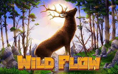Wild Flow - WinPesa - Nigeria