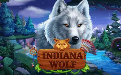 Indiana Wolf - WinPesa - Nigeria
