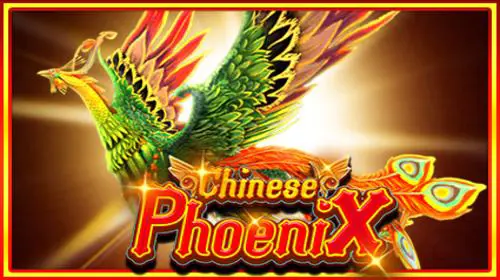 Chinese Phoenix - WinPesa - Nigeria