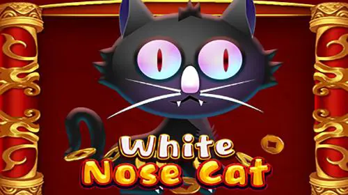 White Nose Cat - WinPesa - Nigeria