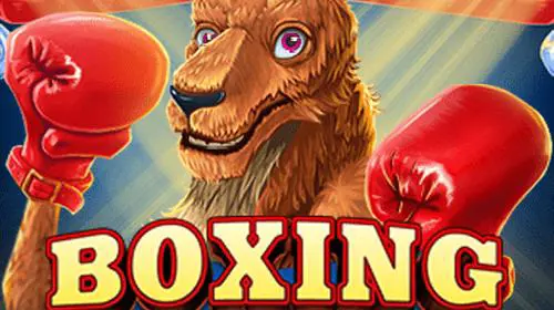 Boxing Roo - WinPesa - Nigeria
