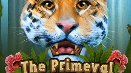 Primeval Rainforest - WinPesa - Nigeria