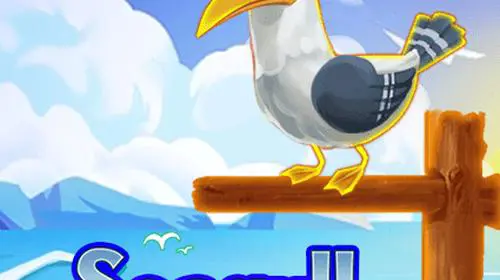 Seagull - WinPesa - Nigeria