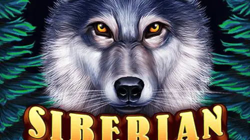Siberian Wolves - WinPesa - Nigeria
