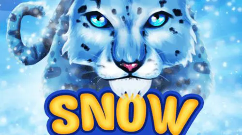 Snow Leopards - WinPesa - Nigeria