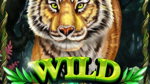 Wild Jungle - WinPesa - Nigeria