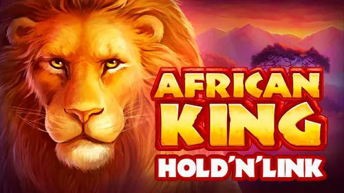 African King Hold'n'Link - WinPesa - Nigeria