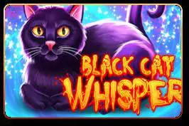 Black Cat Whisper - WinPesa - Nigeria
