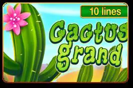 Cactus Grand - WinPesa - Nigeria
