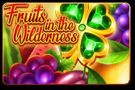 Fruits in the Wilderness - WinPesa - Nigeria