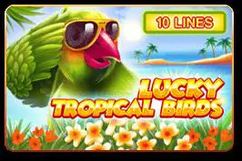 Lucky Tropical Birds - WinPesa - Nigeria