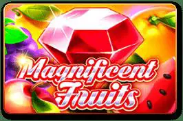 Magnificent Fruits - WinPesa - Nigeria