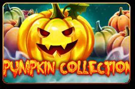 Pumpkin Collection - WinPesa - Nigeria