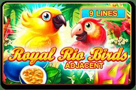 Royal Rio Birds - WinPesa - Nigeria