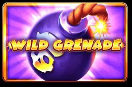 Wild Grenade - WinPesa - Nigeria