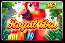 Royal Ara (3x3) - WinPesa - Nigeria